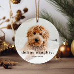 Funny Pet 2 met Kerstmis Metalen Ornament<br><div class="desc">Een Funny Pet-kerstversiering met eenvoudig type definieert een ondeugende groet aan de voorkant. De achterkant heeft een tweede foto. Klik uitgeven knoop om dit ontwerp aan te passen.</div>