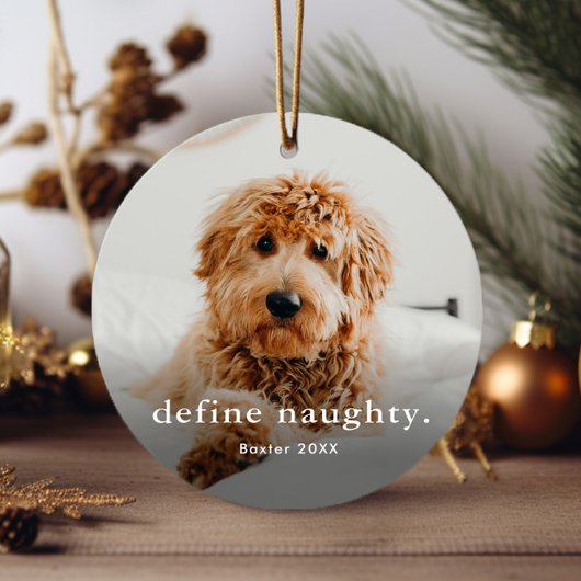 Funny Pet 2 met Kerstmis Metalen Ornament