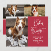 Funny Pet All is geen Calm 3 Foto Holiday Kaart (Voorkant / Achterkant)