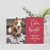 Funny Pet All is geen Calm 3 Foto Holiday Kaart (Staand voorkant)