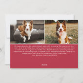 Funny Pet All is geen Calm 3 Foto Holiday Kaart (Achterkant)