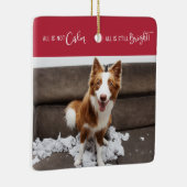 Funny Pet All is geen Calm 3 Foto Keramisch Ornament (Rechts)