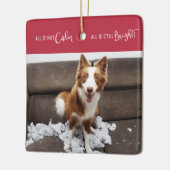 Funny Pet All is geen Calm 3 Foto Keramisch Ornament (Links)
