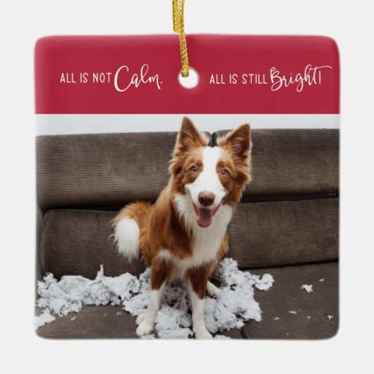 Funny Pet All is geen Calm 3 Foto Keramisch Ornament (Voorkant)