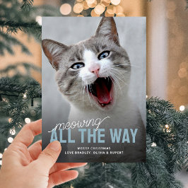 Funny Pet Cat Holiday Christmas Kaarten