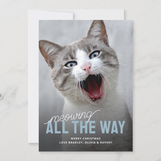 Funny Pet Cat Holiday Christmas Kaarten (Voorkant)