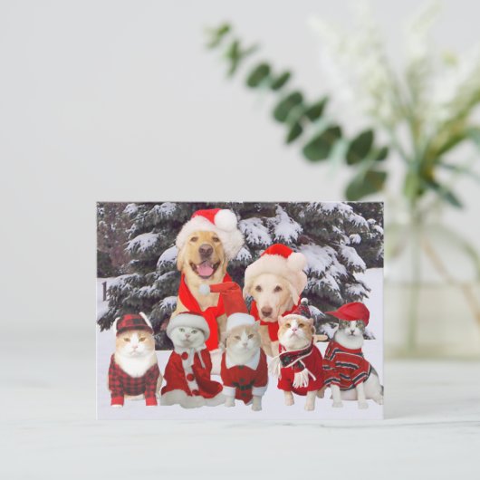  Funny Pet Christmas Post Kaart (Staand voorkant)