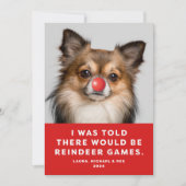 Funny Pet Dog Foto Vakantie Kaart Rendieren Spelle (Voorkant)