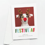 Funny Pet Dog Kat Foto Kerstmis Kaart Festive AF<br><div class="desc">Een leuke en kleurrijke kerstkaart met je schattige harige vriend (hond,  kat,  spin,  wat dan ook) die feestelijk AF is. {afbeeldingen van freepik}</div>