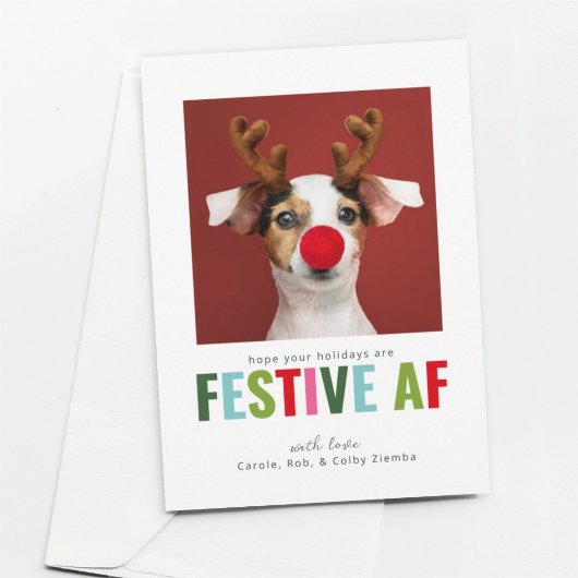 Funny Pet Dog Kat Foto Kerstmis Kaart Festive AF