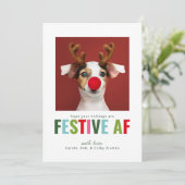 Funny Pet Dog Kat Foto Kerstmis Kaart Festive AF (Staand voorkant)