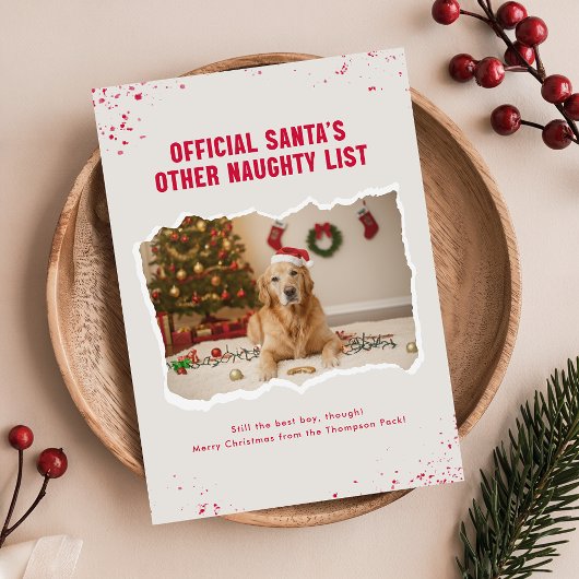 Funny Pet Dog Photo Christmas Holiday Postcard Briefkaart