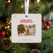 Funny Pet Dog Picture Christmas Holiday Keramisch Ornament