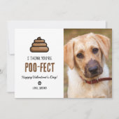 Funny Pet Dog Valentijnsdag Kaart (Voorkant)