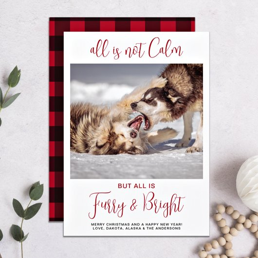 Funny Pet Furry & Bright Plays Custom Dog Photo Feestdagenkaart