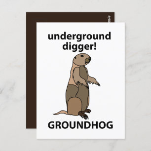 Funny Pet Groundhog Briefkaart