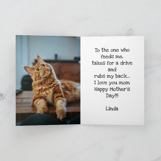 Funny Pet Happy Fur Moederdag Kat foto groen Kaart (Binnen)