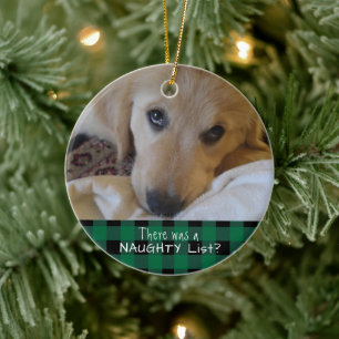 Funny Pet NAUGHTY OF NICE Green Buffalo Play Keramisch Ornament