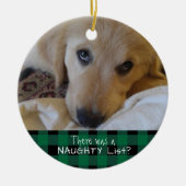 Funny Pet NAUGHTY OF NICE Green Buffalo Play Keramisch Ornament (Voorkant)