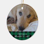 Funny Pet NAUGHTY OF NICE Green Buffalo Play Keramisch Ornament (Links)