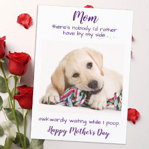 Funny Pet Photo Personalized Dog Ma Moederdag Feestdagenkaart