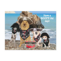 Funny Pet Pirate Day Briefkaart