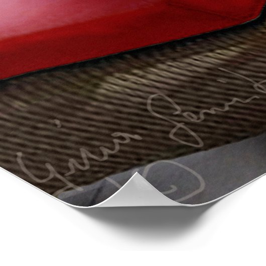 Funny Pet Poster Cat Luxury Vacature (Hoek)