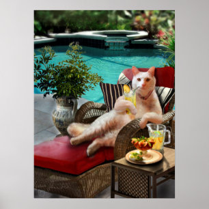 Funny Pet Poster Cat Luxury Vacature
