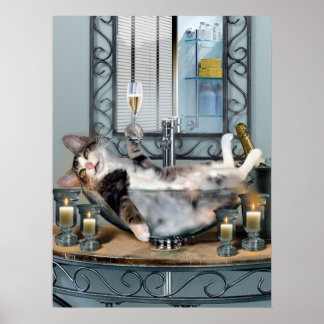 Funny Pet Poster Tipsy Kat