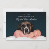 Funny Pet Sibling Birth Announement Kaart (Voorkant)