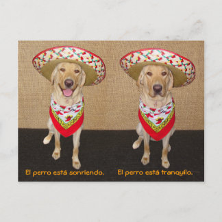 Funny Pet Spaans Briefkaart & Teaching Aid