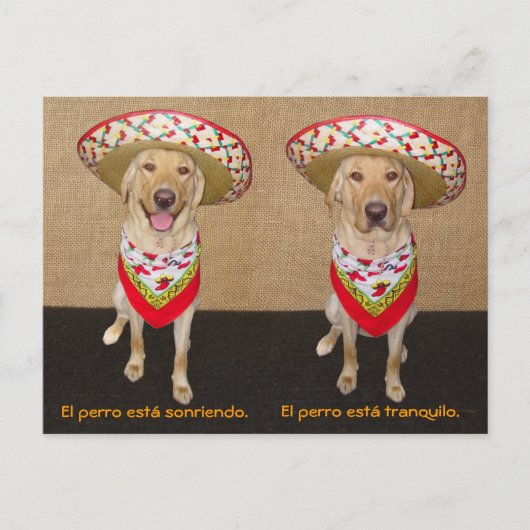 Funny Pet Spaans Briefkaart & Teaching Aid (Voorkant)