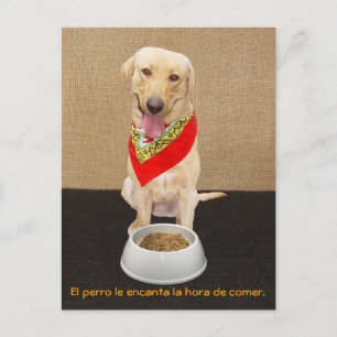 Funny Pet Spaans Briefkaart & Teaching Aid