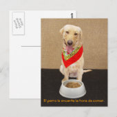 Funny Pet Spaans Briefkaart & Teaching Aid (Voorkant / Achterkant)