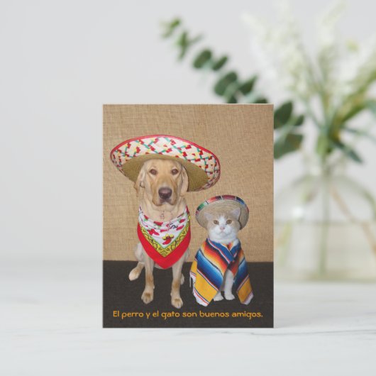 Funny Pet Spain Briefkaart & Teaching Aid (Staand voorkant)