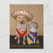 Funny Pet Spain Briefkaart & Teaching Aid (Voorkant)