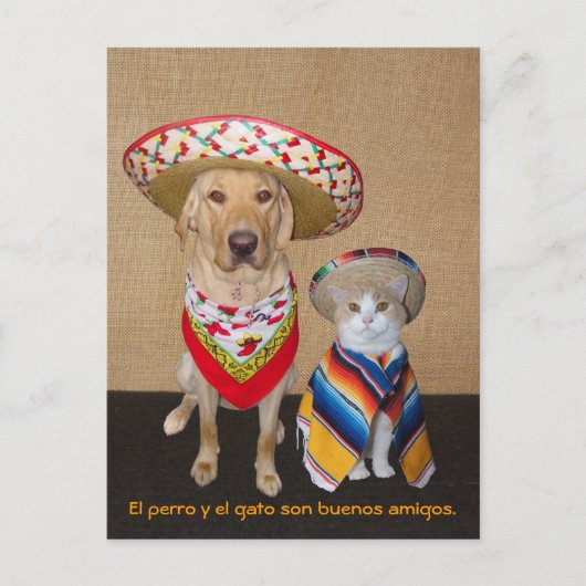 Funny Pet Spain Briefkaart & Teaching Aid (Voorkant)