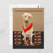 Funny Pet Spain Briefkaart & Teaching Aid (Voorkant / Achterkant)
