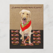 Funny Pet Spain Briefkaart & Teaching Aid (Voorkant)