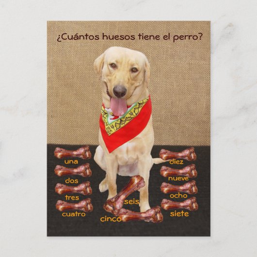 Funny Pet Spain Briefkaart & Teaching Aid (Voorkant)