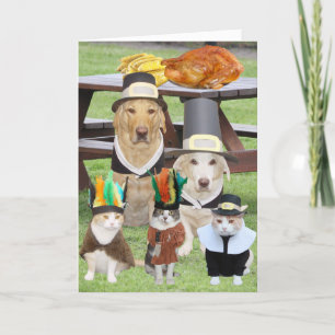  Funny Pet Thanksgiving Feestdagen Kaart