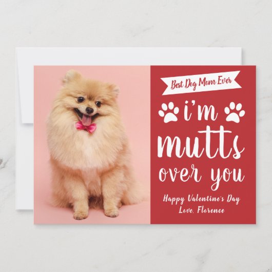 Funny Pets Dog Lover Happy Valentine's Day Feestdagenkaart (Voorkant)
