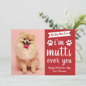 Funny Pets Dog Lover Happy Valentine's Day Feestdagenkaart (Staand voorkant)