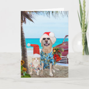 Funny Pets Hawaiian/Surfer Kerstmis Feestdagen Kaart