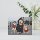 Funny Pets/Lab & Cats/Sup/Whazup Briefkaart (Staand voorkant)
