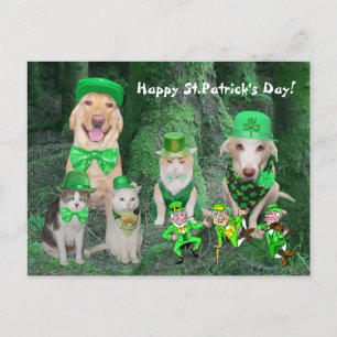 Funny Pets & Leprechauns Briefkaart