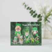 Funny Pets & Leprechauns Briefkaart (Staand voorkant)