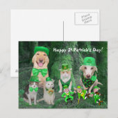 Funny Pets & Leprechauns Briefkaart (Voorkant / Achterkant)