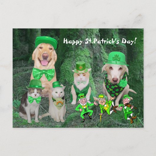 Funny Pets & Leprechauns Briefkaart (Voorkant)