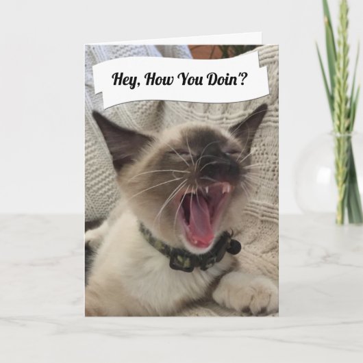 Funny Photo Yelling Siamese Cat How you do' Kaart (Voorkant)